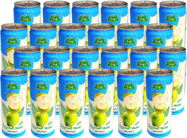 T&A 코코넛워터 위드 나타드 코코, 24개, 325ml