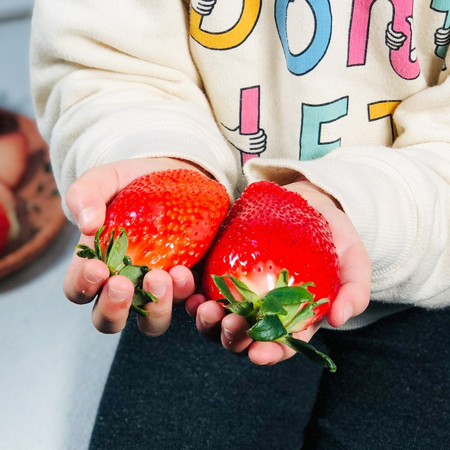 고당도 킹스베리 생딸기 당일수확 설향딸기 금실 비타베리 겨울 딸기 특과 400g, 대왕특과 400g