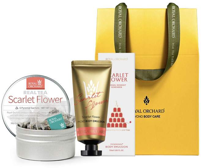 로얄오차드 차(TEA)로만든 TEA+로션 티테라피 선물세트 (기프트박스)(피크노제놀 함유), 블랙진저, 1세트