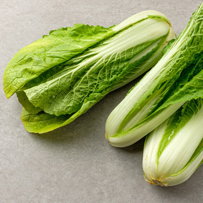친환경 무농약 얼갈이배추 4kg, 1박스