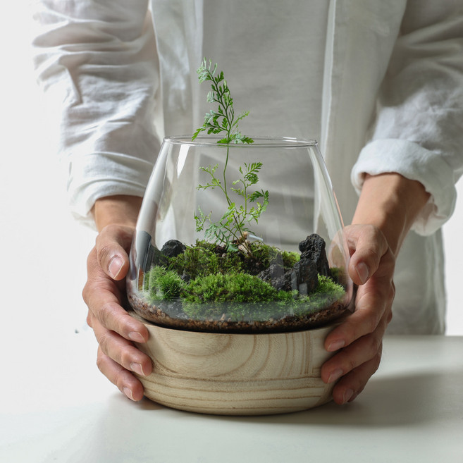 포러모먼트 이끼 테라리움 키트 DIY 만들기, C형(뚜껑추가+핀셋추가+피규어랜덤증정), 1개