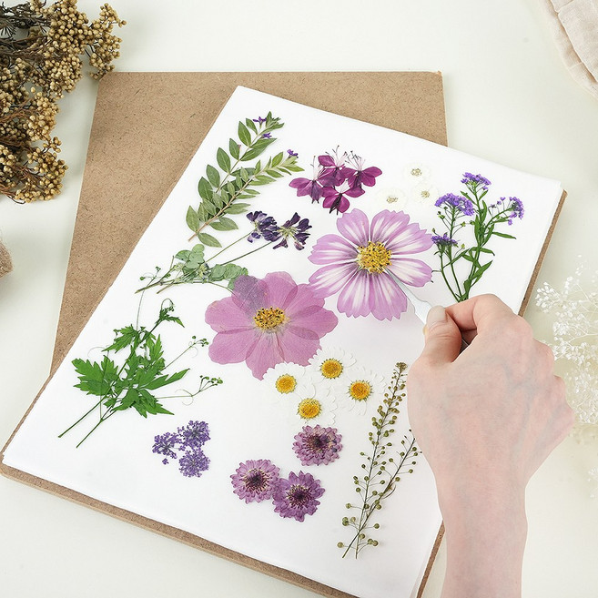 프레스코21 압화만들기 압화건조매트 압화 도구 프레스 공예 원예수업 미니 풀세트 국내산