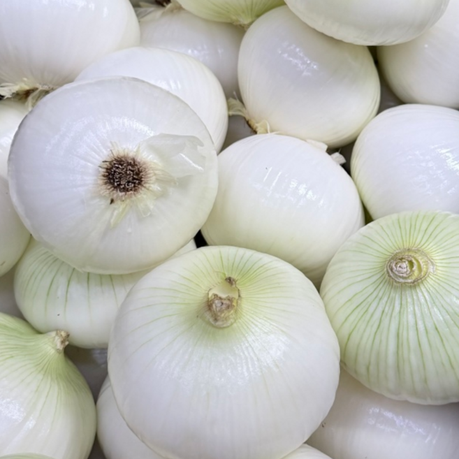 깐양파 10kg 국내산 업소용 대용량 식당용, 1개