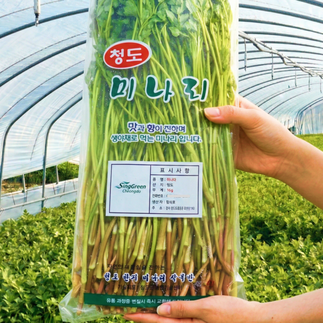제철한가득 아삭하고 향이진한 청도 미나리, 1세트, 1kg