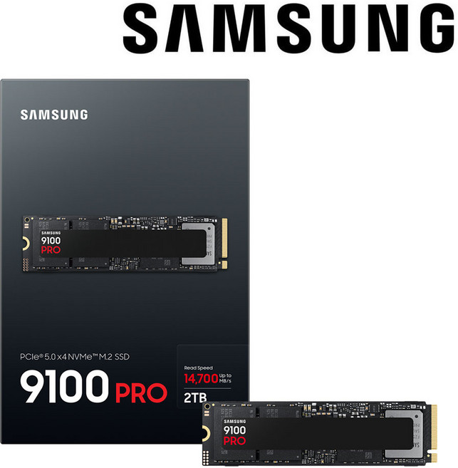 삼성전자 내장 SSD 9100 PRO, 삼성 9100 PRO, 2TB