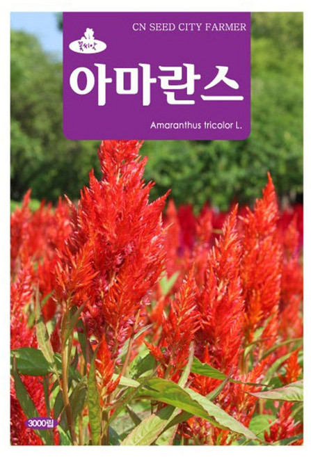(CN) 아마란스 씨앗 (3000립), 1개