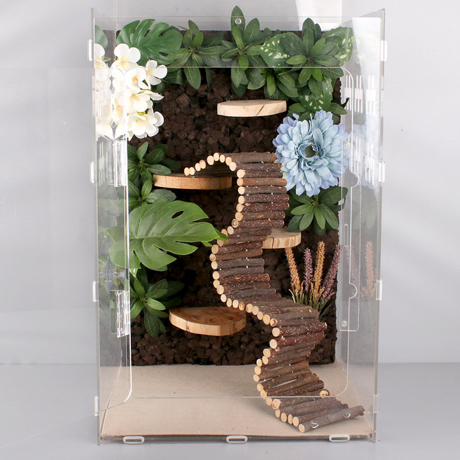 도마뱀 나무 울타리 은신처 사다리, 1개, A형