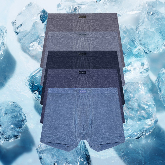 남성 쿨에어 레이온 인견 인팅 드로즈 팬티 여름 남자속옷 5종세트