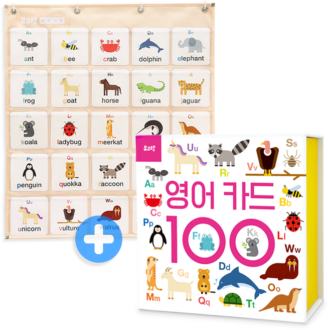 뮤고랑 유아 학습 카드 100 + 벽걸이 네모 벽보 차트, 1세트, 영어카드+벽보차트