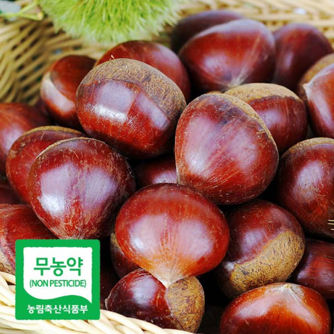 25년 햇 무농약 공주 정안밤 알밤 대품, 2kg, 1개