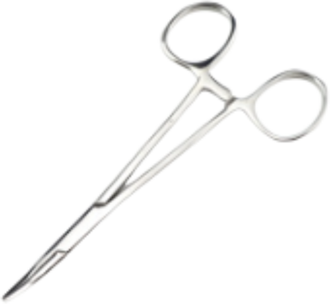 뷰티앤펫 반려동물 귀털 제거 겸자 가위 직선형, 1개, 4개