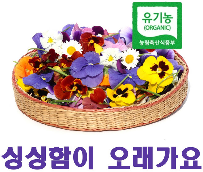 엔젤농장 유기농 먹는꽃 식용꽃, 0.5g, 100개