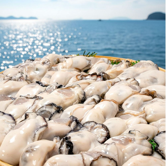 [최상급원물] 국내산 굴 통영 생굴, 1박스, 3kg