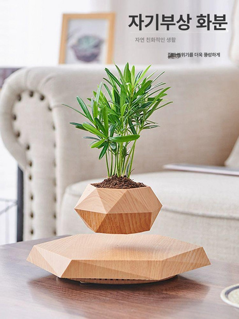 화분 360도 회전 공중부양 무중력 미니 선물용 식물, 1개, 다크 우드 그레인 해바라기