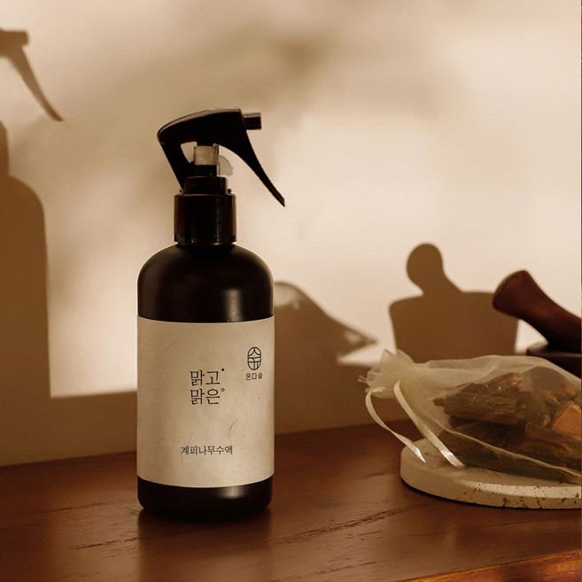 온다숲 계피스프레이 250ml (계피큐브 1개 증정), 3개