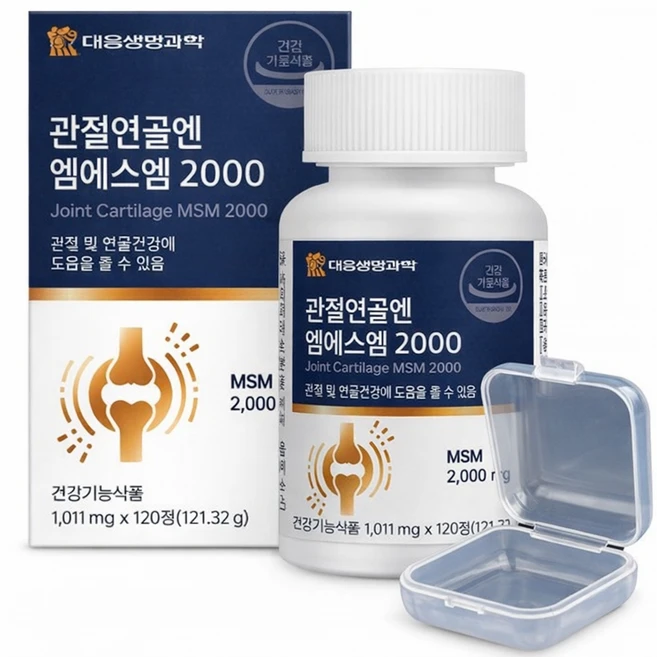 관절 연골 통증 염증 영양제 2개월분 120정 + 약 케이스 증정, 1박스 - 쿠팡