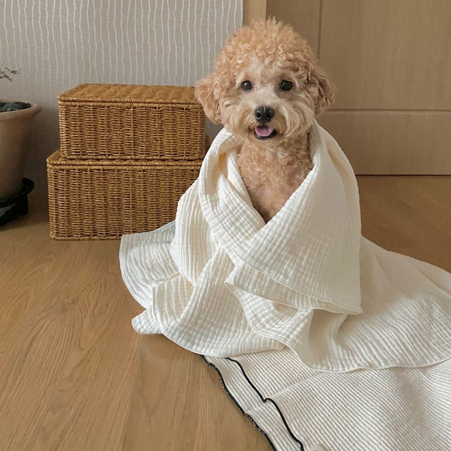 순면100 강아지이불 애견담요 블랭킷 켄넬담요, 아이보리70*90, 1개