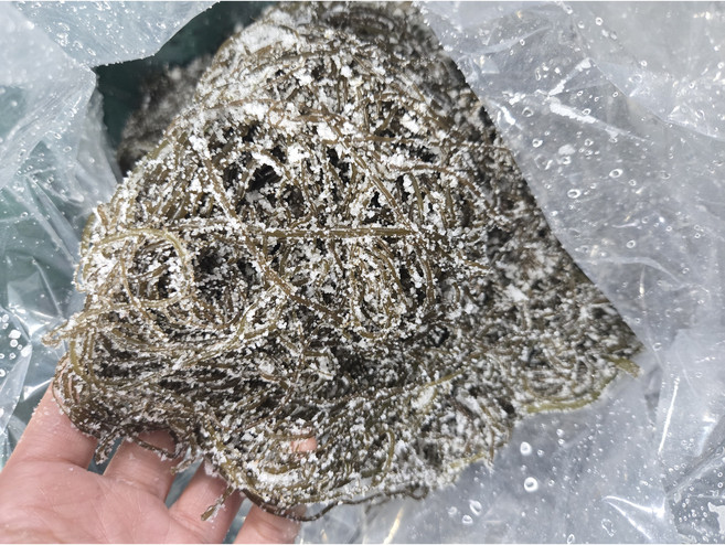 완도 염장 꼬시래기 1박스 지아수산, 1kg, 1개
