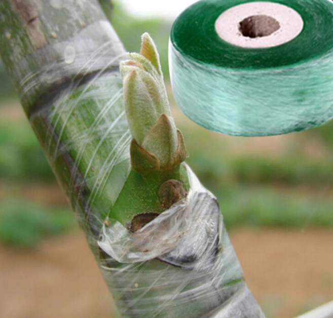 식물 가지 접목 테이프 원예 줄기 접합 밀봉 비닐 나무 분기 바인딩 2cmX100M, 1개