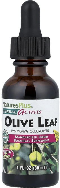 네이쳐스플러스 허브 액티브 올리브 잎 알코올 무함유 30ml, 6개, 29.574ml - 쿠팡
