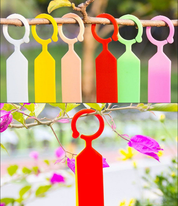 골든트리 나뭇가지 링타입 걸이형 나무 이름표 20개입 1세트 묘목 가든픽 나무가지이름표, 랜덤색상 20개입 1세트