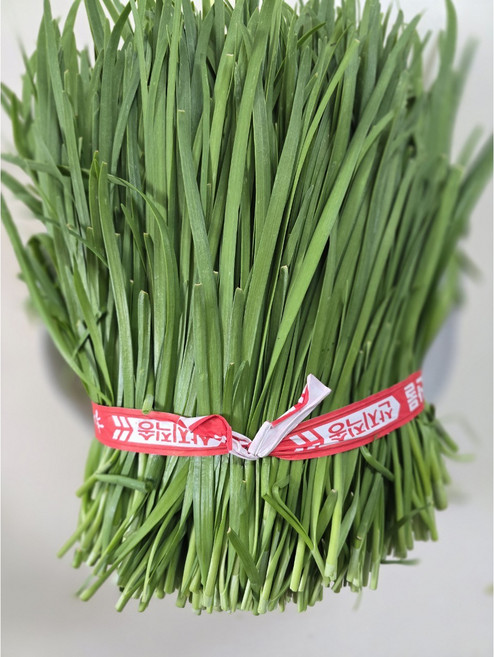 [여수산] 햇 부추 국내산 노지재배 당일수확, 3kg, 1개