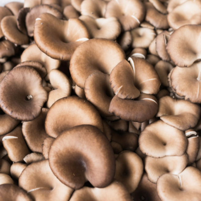 느타리버섯, 2개, 200g