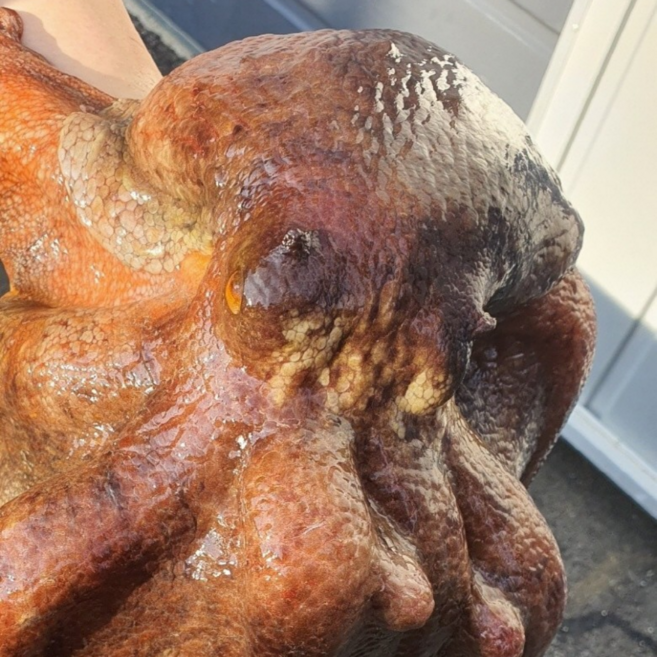 국내산 활 문어 / 제수용 3kg급 2kg급 1.5kg급 1kg급, 1개, 1-4미쯤 활 돌문어 1kg