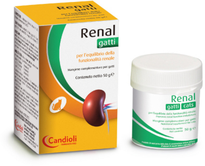 (당일출고) (병원제품) 레날 캣츠 50g Renal Cats 고양이 신장 영양제, 1개