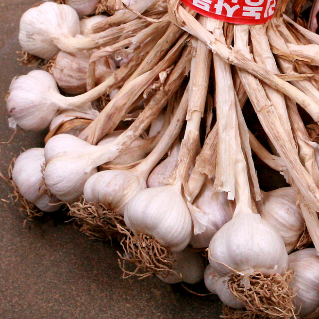 산지직송 의성마늘 향이진한 토종 햇마늘, 1개, 10kg(특)