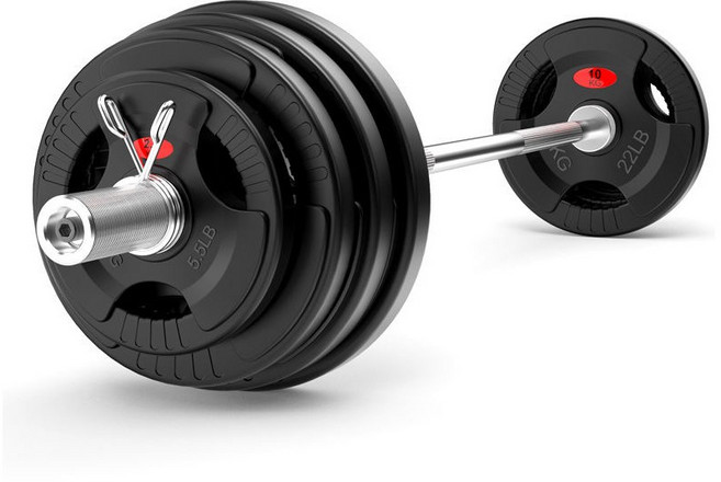 희우스포츠 중량원판 중량바벨 방패원판 3홀원판 50mm용, 2.5kg, 1개, 고무원판