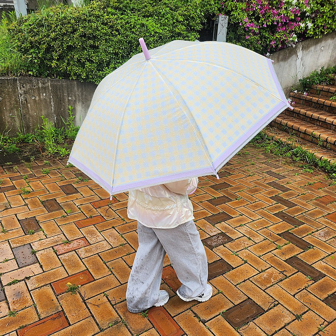 씨스앤홈 디어 체크 컬러 우산 키즈 아동 초등학생 어린이 유아 아기 남아 여아 장우산 53