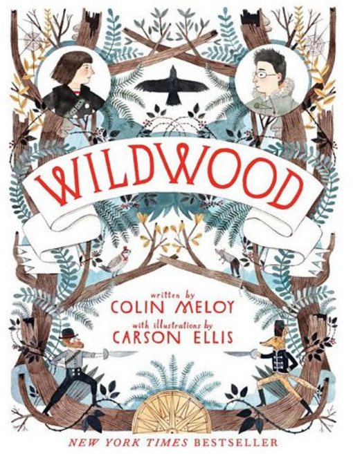 영문 영어 유아 도서 The Wildwood Chronicles #1 : Hardcover 미국판 1851214, 영문 영어 유아 도서 The Wildwood Chron