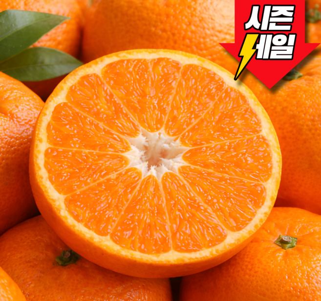 [시즌마지막특가] 하루30박스 농가직송 초고당도 제주감귤, 1박스, 10kg