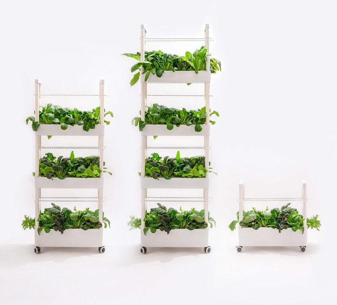 수경재배기 식물재배기 가정용 실내 스마트팜 채소 야채 상추 키우기 [오디가 ODIGA], 3단, LED 식물등 포함, 1개