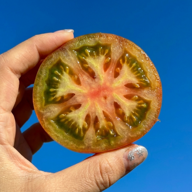 [시즌한정]대저토마토 짭짤이, 1개