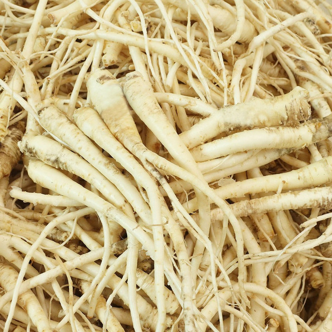 진생마트 국산 싱싱한 약도라지, 1개, 세척약도라지 (소)