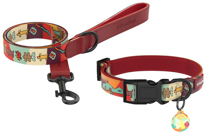 포뷰 강아지 목줄 + 리드줄 + 분실방지 태그 세트, 일출