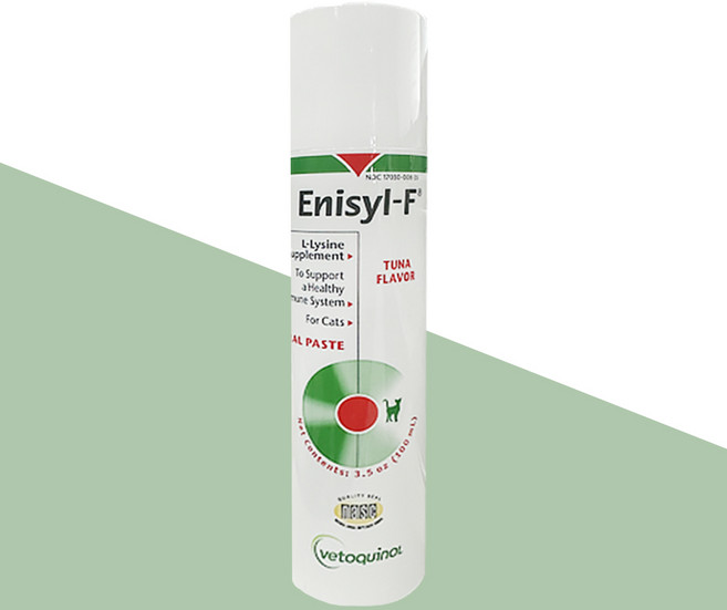 애니실에프 고양이 영양제, 면역/항산화, 100ml, 1개