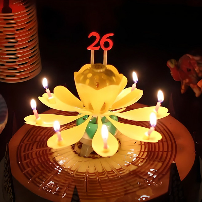 스토리빙 생일 축하 초 연꽃 멜로디 선물 파티 용품 + 숫자 토퍼 19p 세트, 옐로우