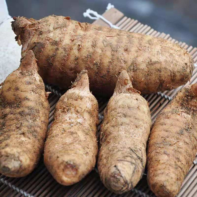 okyaios 중국 윈난 야생 천마 신선 천마, 1개, 2kg