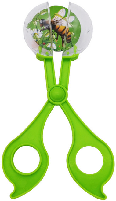 곤충 집게 가위 곤충채집