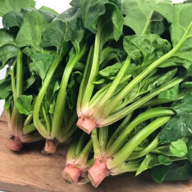 농가직송 국내산 해풍맞고 자란 남해 노지 제철 보물초 시금치, 1박스, 4kg