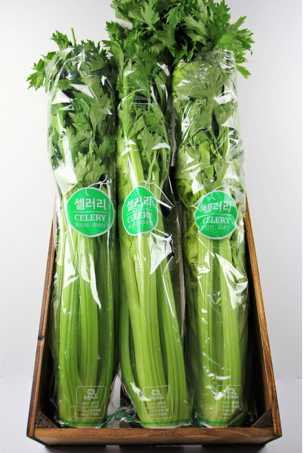 셀러리 샐러리 1kg 국산 1단 celery, 1개