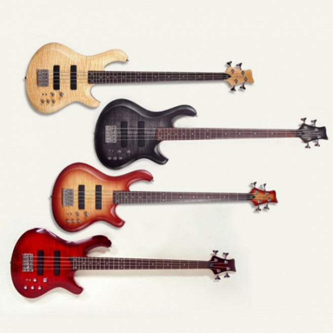 데임 폴앤폴 300 / 입문용 베이스 기타 / 공식대리점 당일발송, 1개