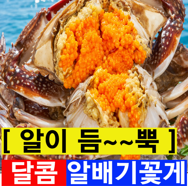 [특품AAA등급] 국내산 꽃게 알배기 암꽃게, 1박스, 2kg(암꽃게특품)