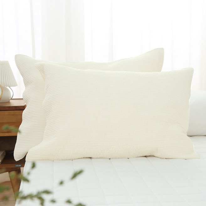 (2장) 국산 순면 피그먼트 지퍼형 베개커버 4060 5070 패밀리