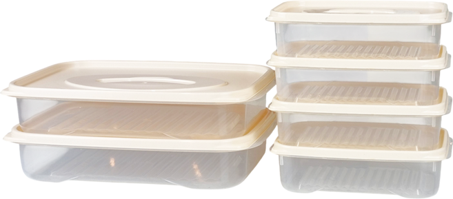 DAMDA 담다프레시 전자레인지 보관용기 냉동밥, 1세트, 대용량실속