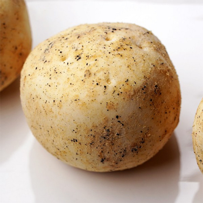 단짠예찬 포슬쫀득 감자빵 (팩당5개입), 600g, 2개, 상세 설명 참조