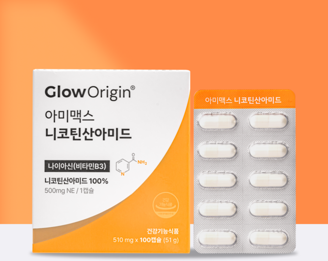 글로오리진 아미맥스 비타민B3 고용량 500mg 니코틴산아미드 나이아신아미드, 1박스, 100정